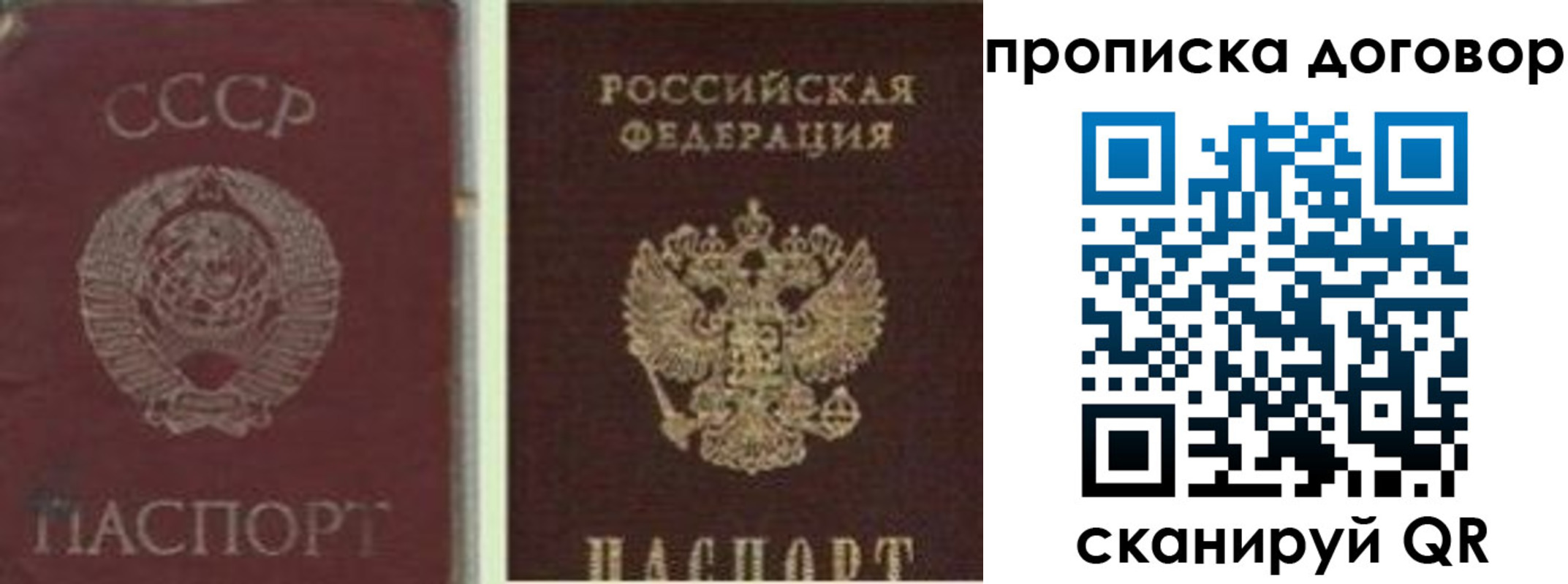 прописка гарантия в Почепе